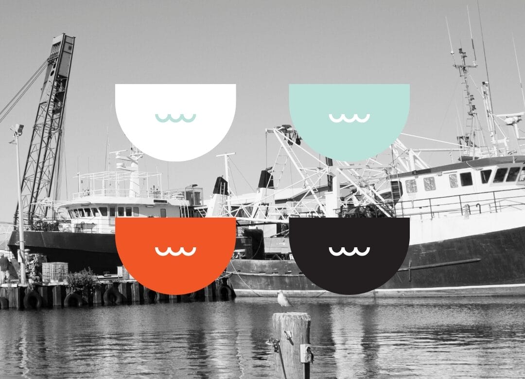 Meet The 7 Types Of Logos