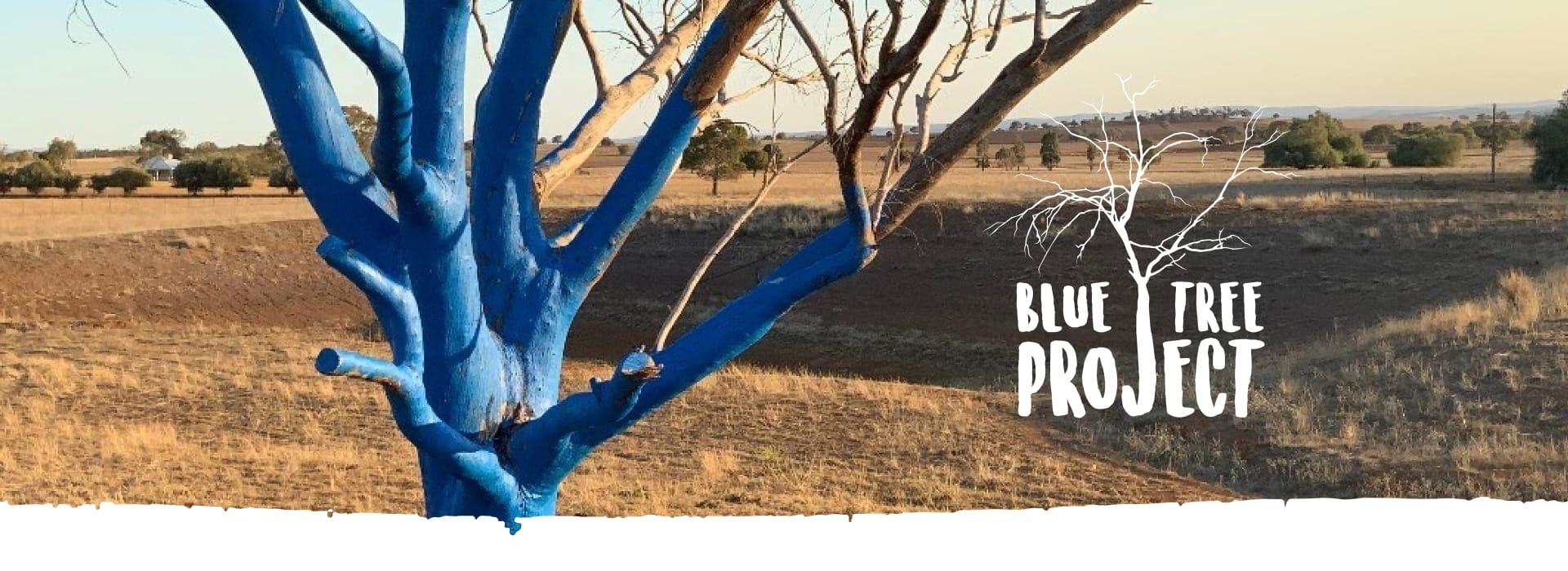 Blue Tree Project