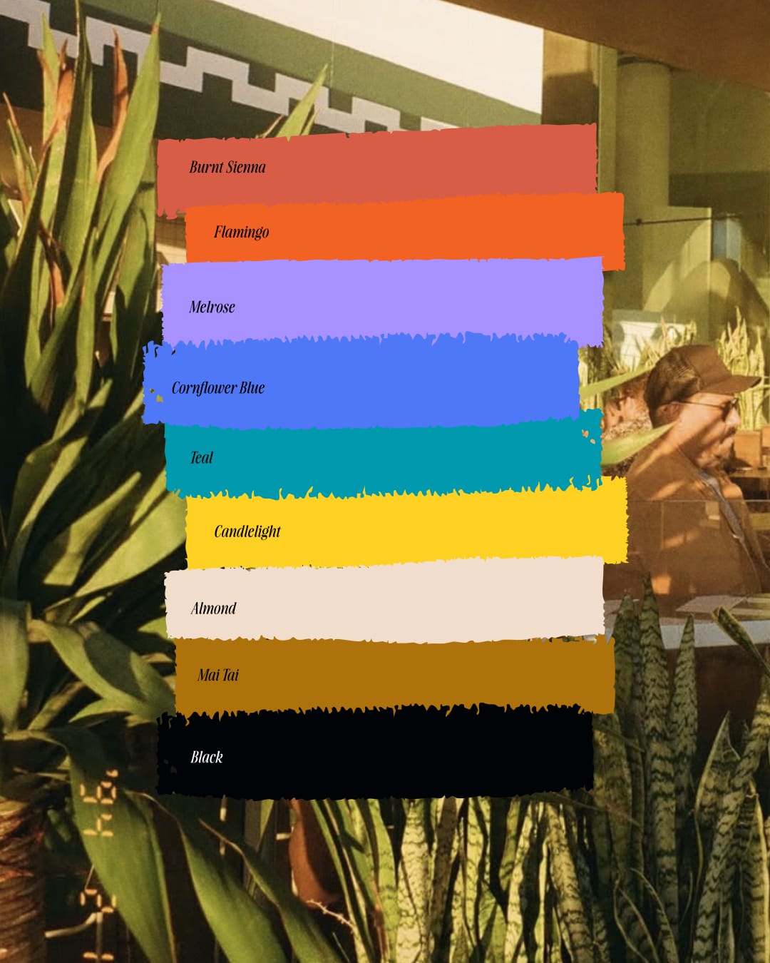 2 project image left zaluna