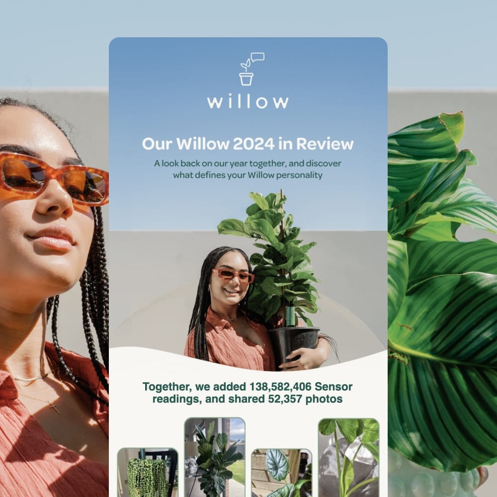Plant With Willow