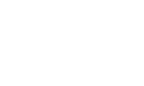 logo ahaa