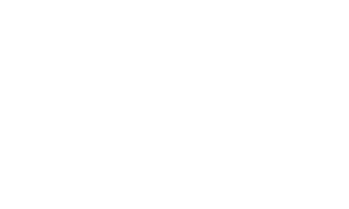logo axis