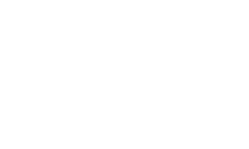 logo bfs