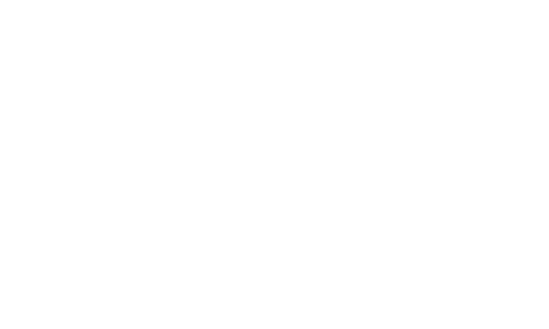 logo erina