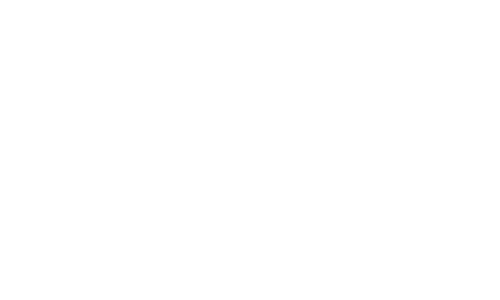 logo ex int