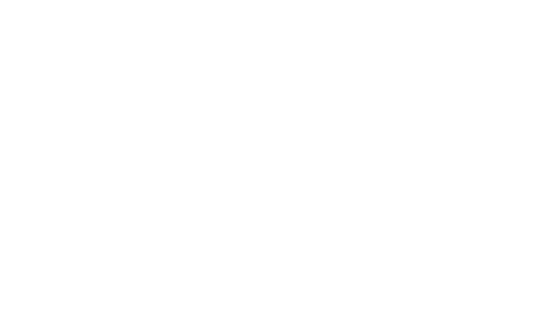 logo imnutrients