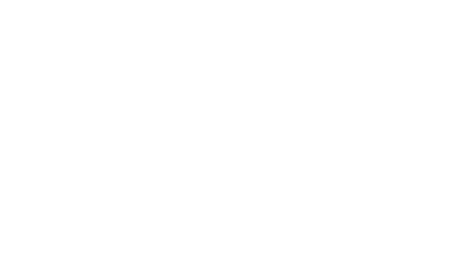 logo ions