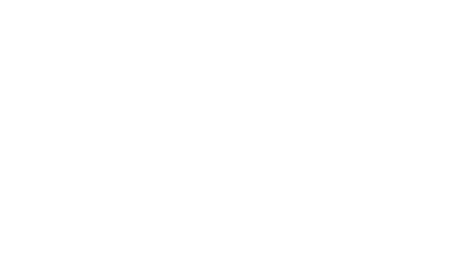 logo nf