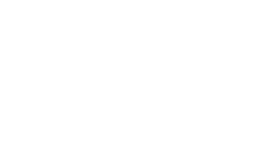 logo ola