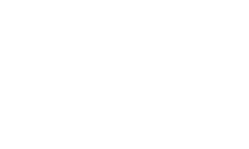 logo oplix