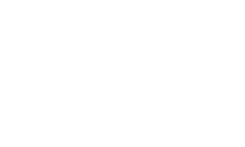 logo phantasim