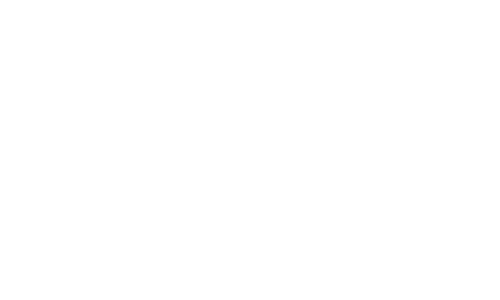 logo prospect