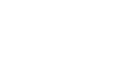 logo rommer