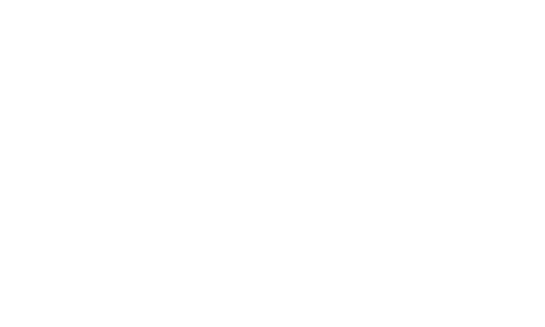 logo superfoot