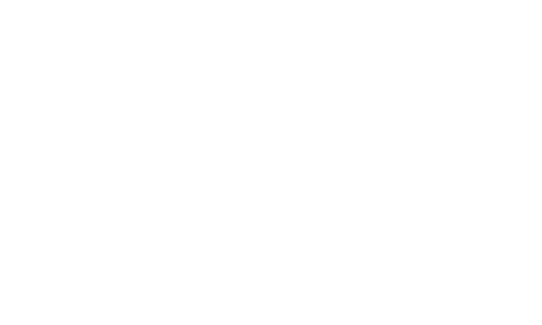 logo swoodi