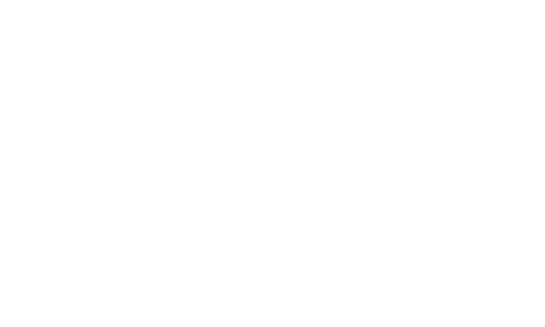 logo wics