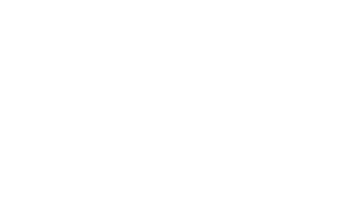 logo willow