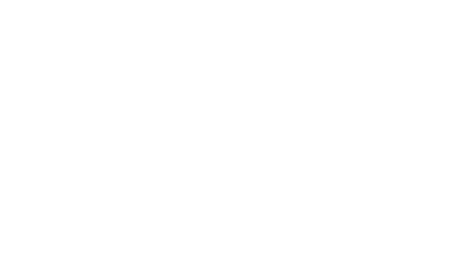 logo wink
